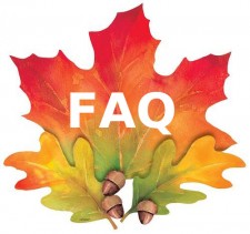 Something Like Fall FAQ
